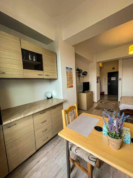 Cazare Iasi Palas Apartment Exterior photo